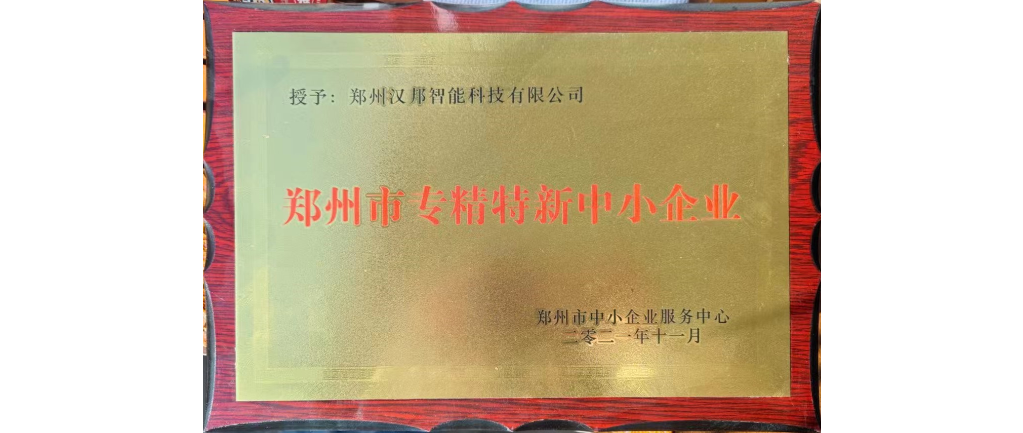 專精特新企業(yè)證書